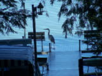100_5680.jpg